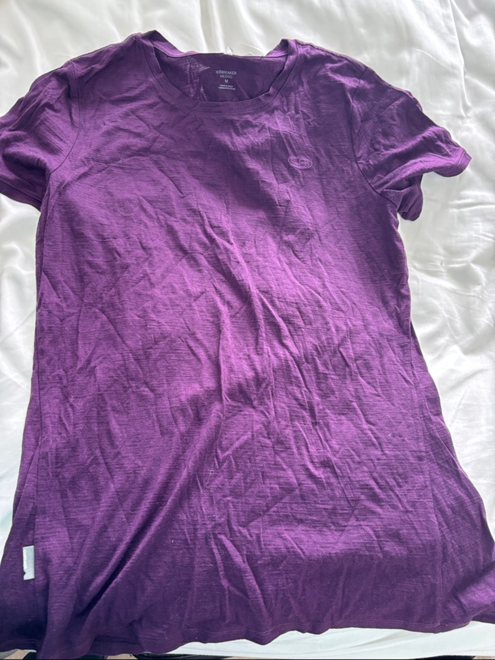 Icebreaker Tech Lite Shirt